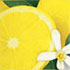 Avon Lemon Blossom and Basil