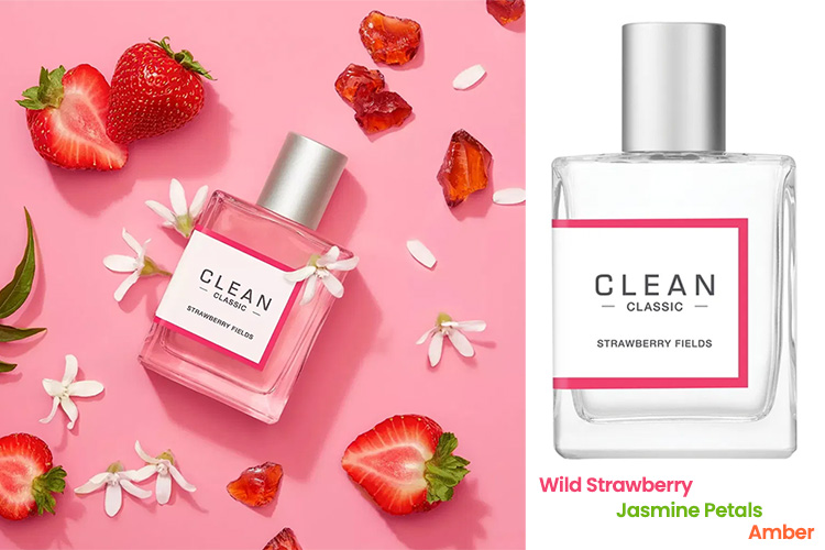 Perfumes and fragrances released in 2025