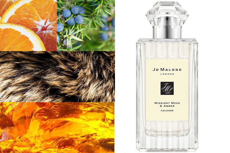 Jo Malone Midnight Musk & Amber new aromatic perfume guide