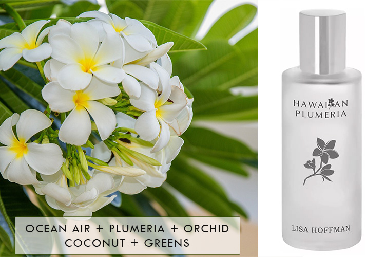 Lisa Hoffman Hawaiian Plumeria Fragrance