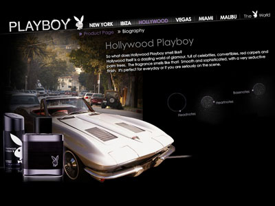 Hollywood Playboy website