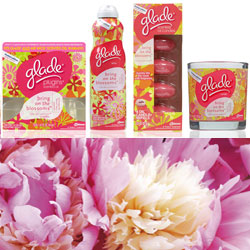 Glade Bring on the Blossoms