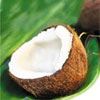 Coconut Mango Bath and Body Works