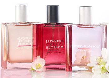 Our creation of Dancing's Blossom's – Code Y Perfume