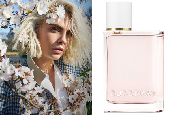 Burberry Her Blossom Fragrances - Perfumes, Colognes, Parfums, Scents  resource guide - The Perfume Girl