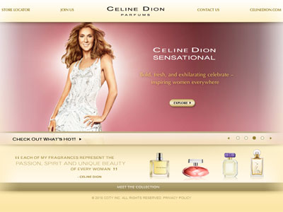 Celine Dion Chic website