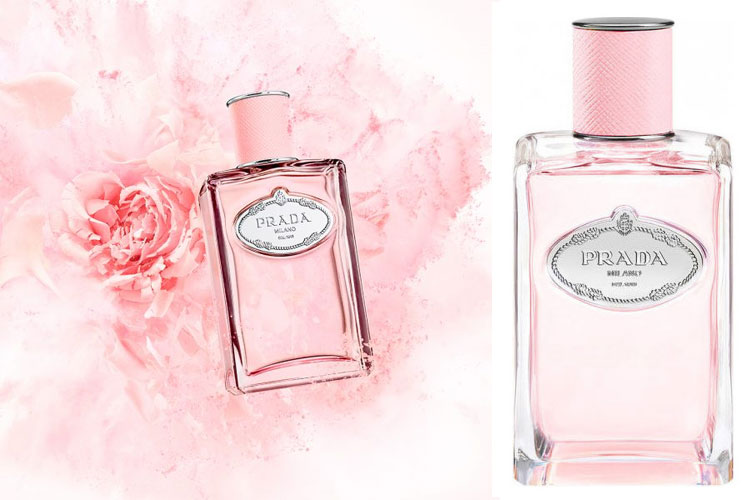 Prada Les Infusions de Rose new floral perfume guide to scents