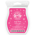 Scentsy Surfer Chick home fragrance